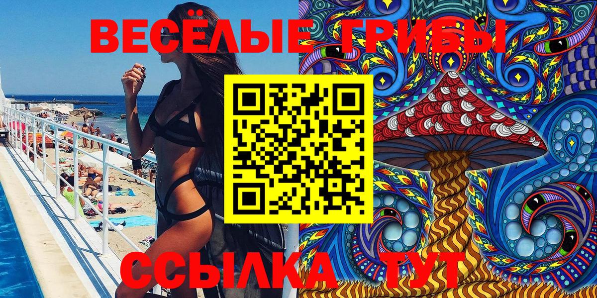 Галлюциногенные грибы MAGIC MUSHROOMS Котовск